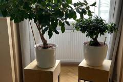 IMG-20220821-WA0012